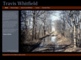 traviswhitfieldart.com