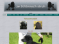 ze-stribrnych-struh.com