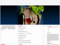cnfangu.com