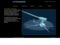 cytosurge.com