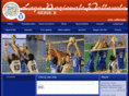 legapallavolob.net