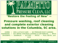 palmettopressureclean.com