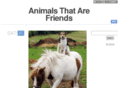 animalsthatarefriends.com