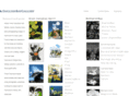 billdesigns.com