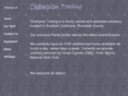 championtowing.net