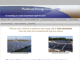 piedmontenergygroup.com