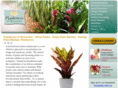 planteriorsofwi.com