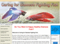 caringforsiamesefightingfish.com