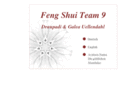 fengshuiteam9.com