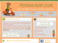 permis-bsr.com