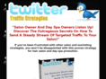 twittersalonanddayspamarketing.com