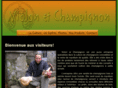 violonetchampignon.com