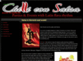 chilliconsalsa.com