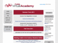 cobbvirtualacademy.com