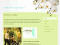 dorcasgreenecoach.com