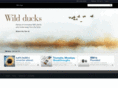 ibmlink.com