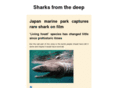 typesofsharks.com