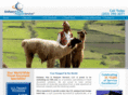 passportsrus.com