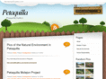 petaquilla-gallery.com