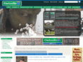 loanclarksville.com