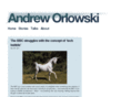 andreworlowski.com