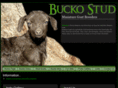 buckominiaturegoats.com