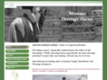 montanadressagehorses.com
