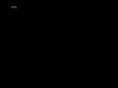 rahninewsome.com