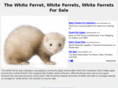 thewhiteferret.com