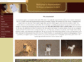 airymountainpups.com