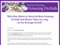 orchidauthority.com