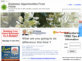 businessopportunityfromhome.info
