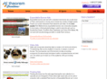 richmediabannerads.com