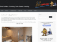 rootraidersplumbing.com