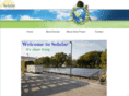 solularenergy.com