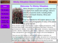 stickysituation.com