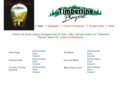 timberlineplayers.com