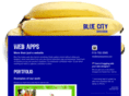 bluecitysystems.com