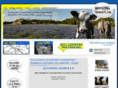 comfortschoolhouse.com