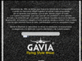 gaviawear.com