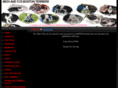 mybostonterrier.com