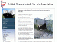 ostrich.org.uk