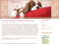 puppyinthecity.com