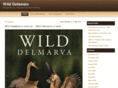 wilddelaware.com