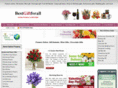 bestgiftforall.com