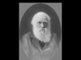 charles-darwin.com