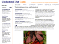 cholesteroldietguru.com