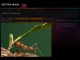edition-image.com