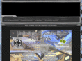 unlimitedcustomsllc.com