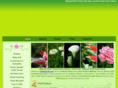 nameeflorist.com